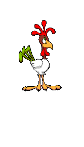Country Music Chicken
